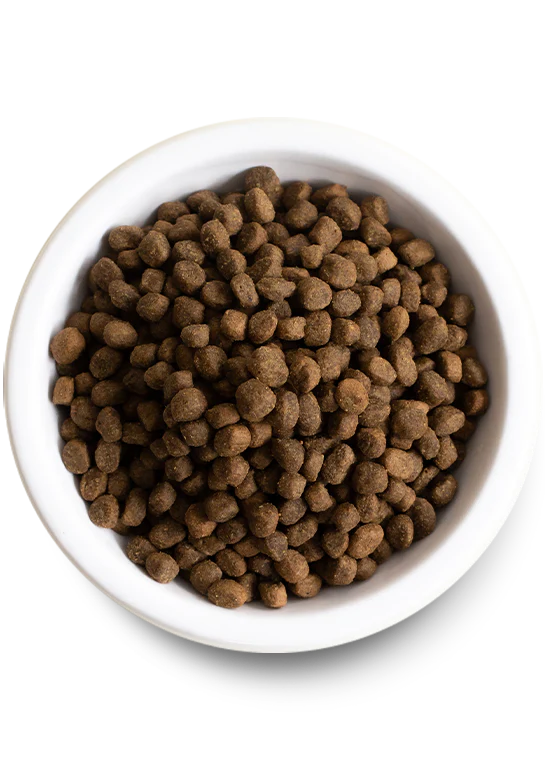 Best Sellers Dog Bundle - Image 3
