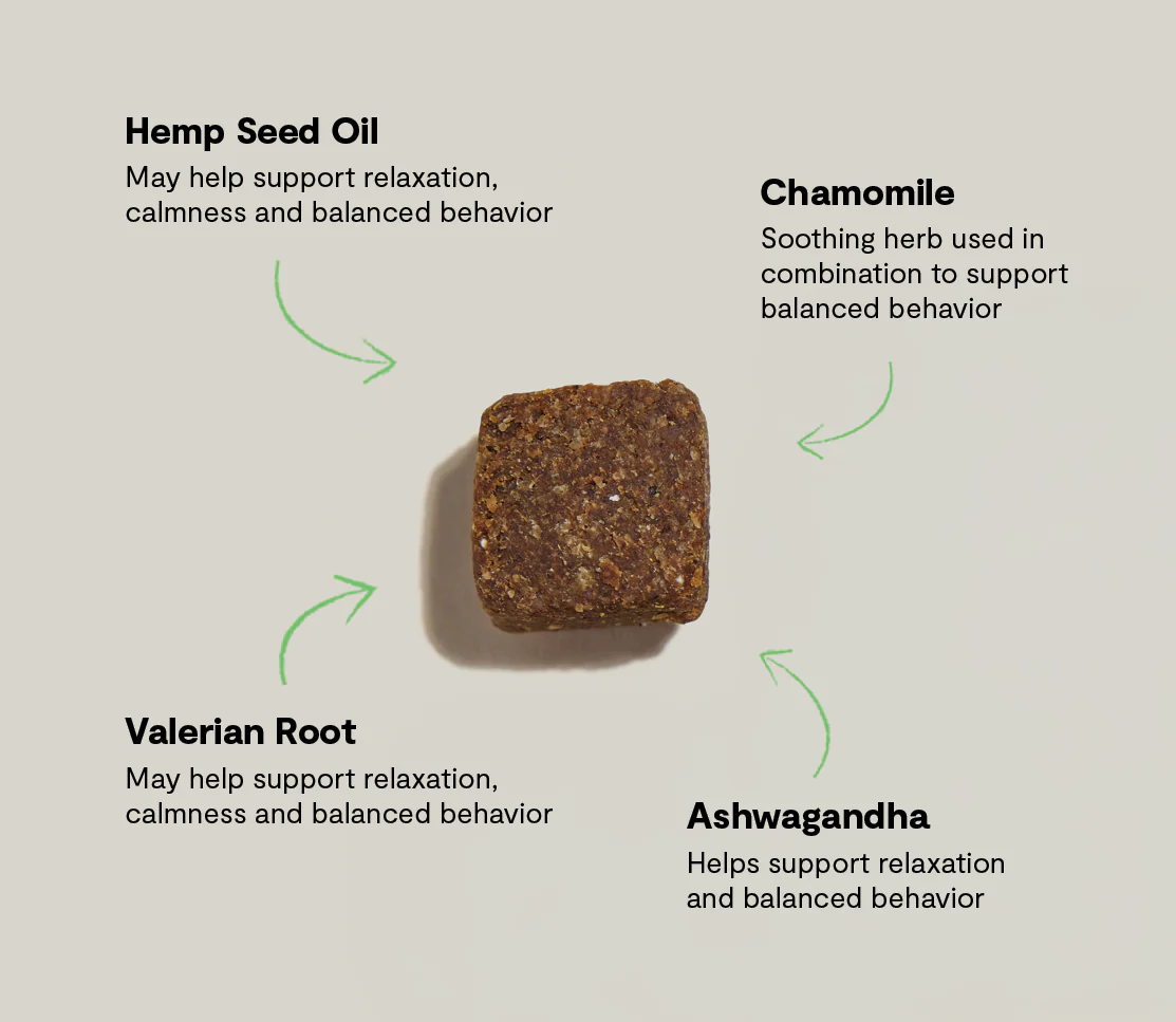 Calming Supplement Chews for Dogs - Image 5