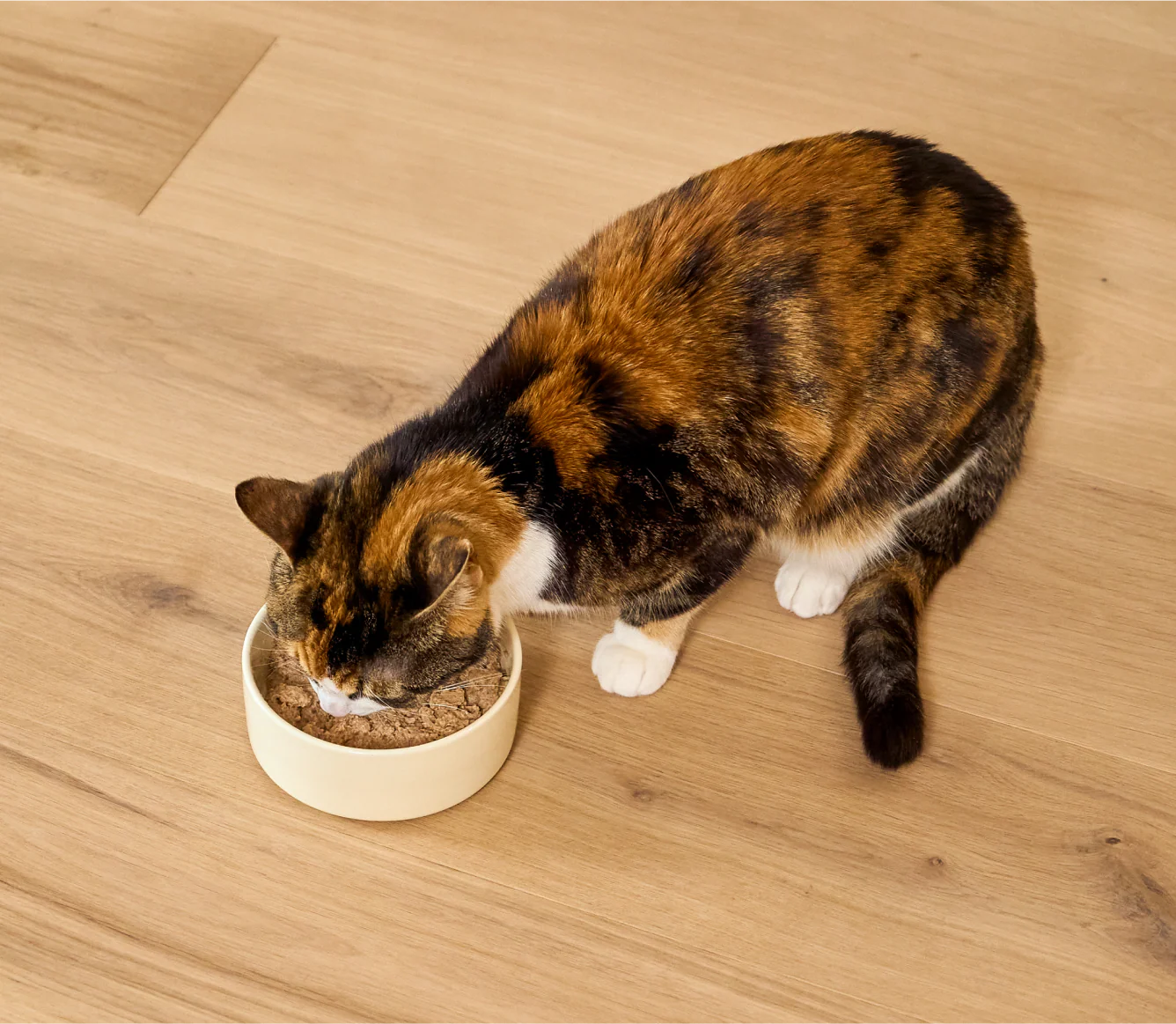 Wild-Caught Whitefish & Pollock Digestive Health Pâté for Cats - Image 5