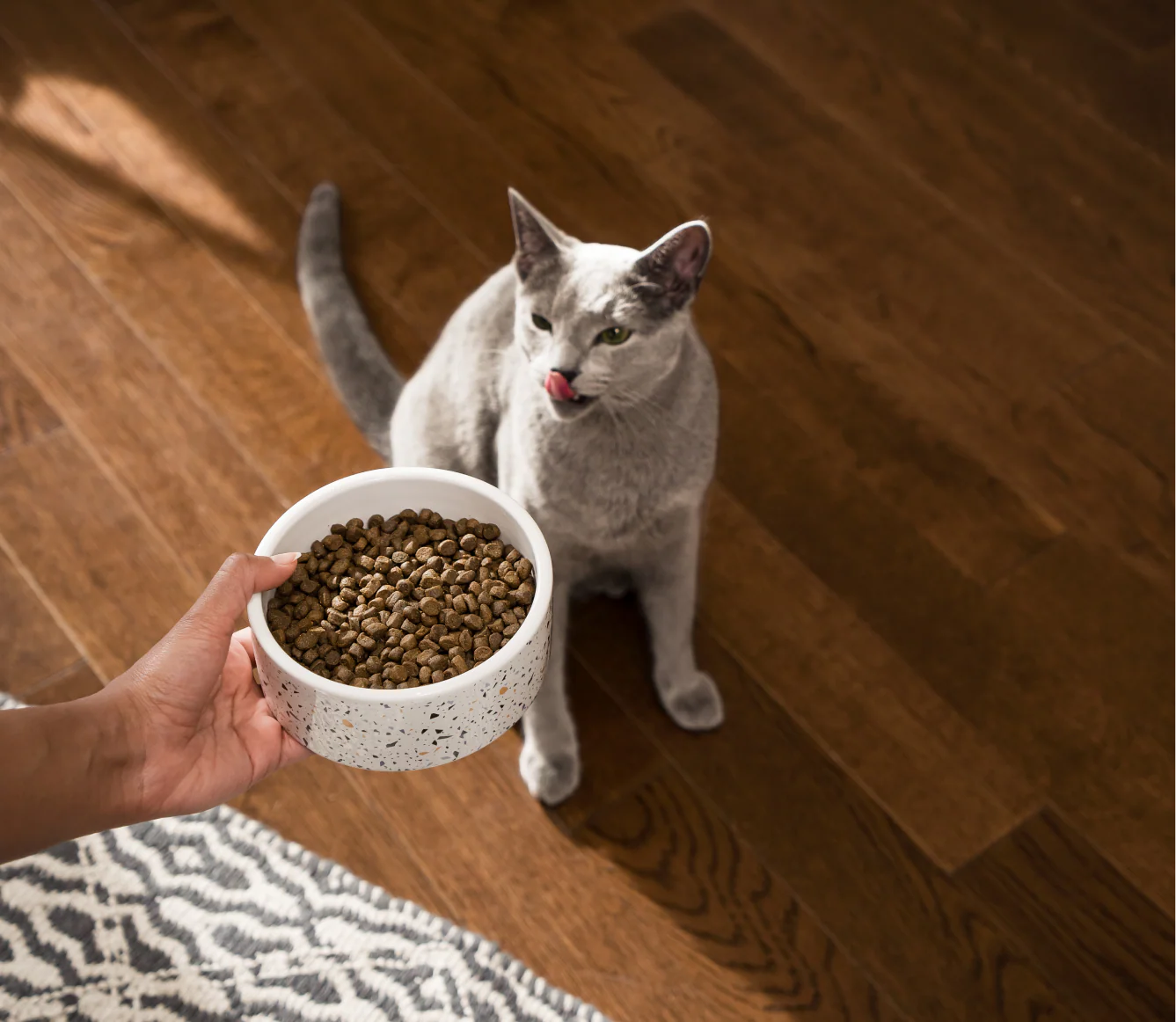 Farmstead Duck Grain-Free Cat Kibble - Image 5