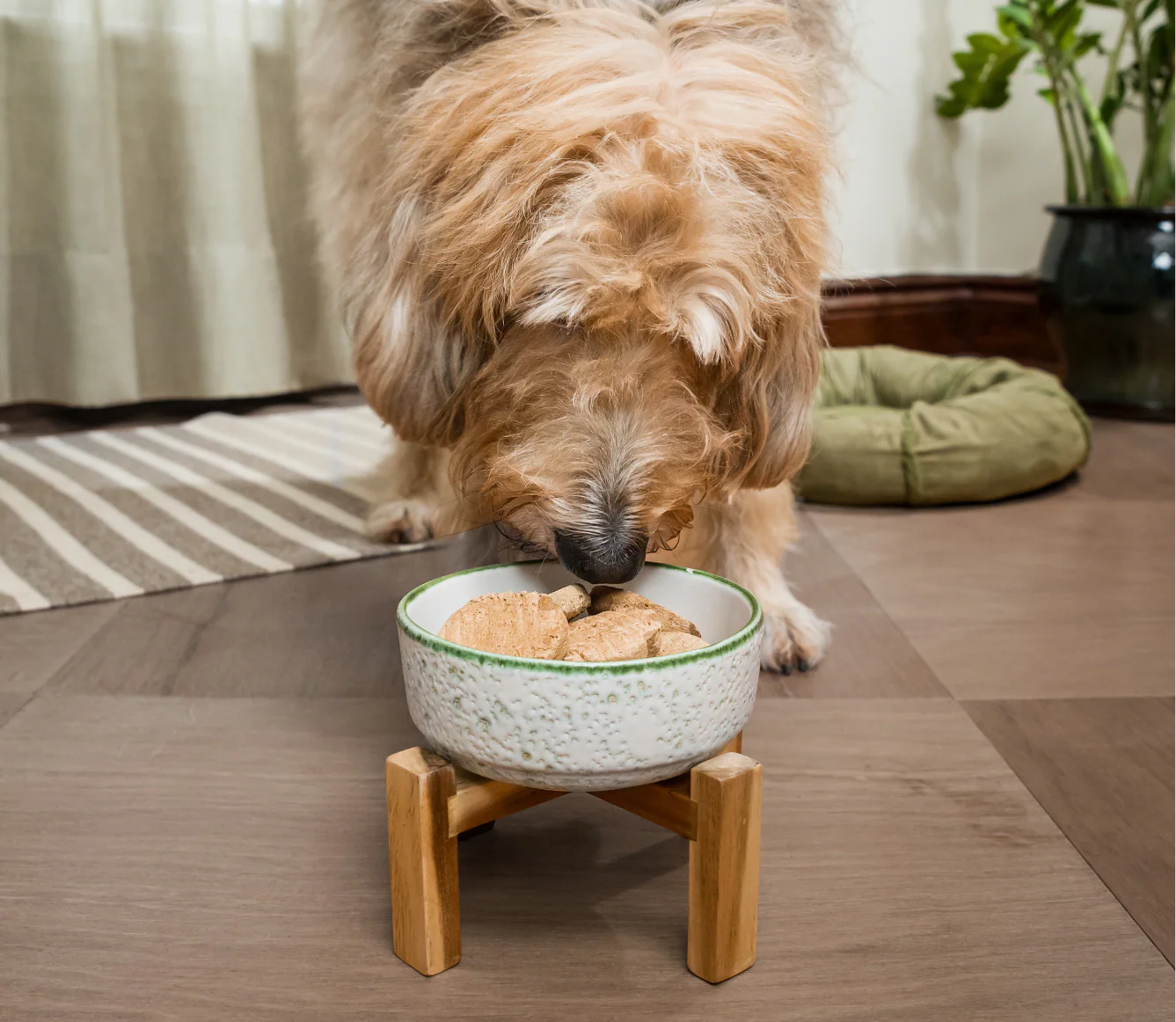 Grass-Fed Beef Freeze Dried Raw Patties for Dogs - Image 5