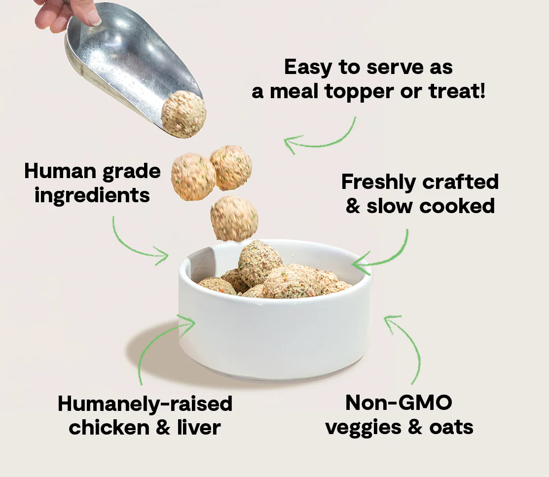 Harvest Chicken Freshly Crafted Meatballs for Dogs - Image 5