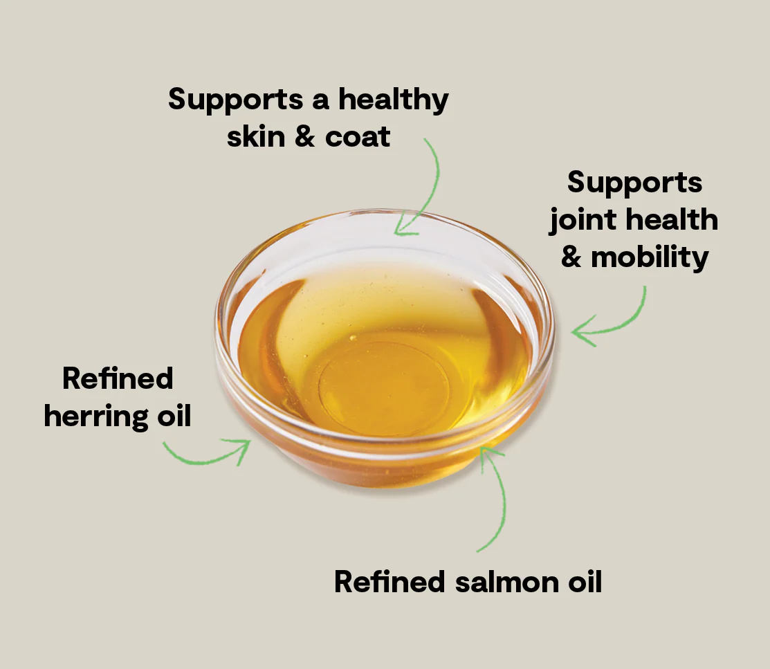 Icelandic Herring & Salmon Oil For Cats - Image 3