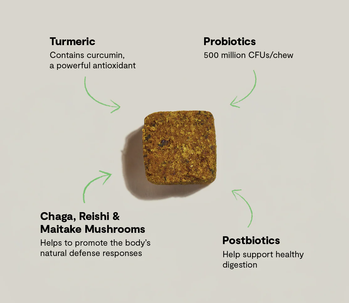 Immune Supplement Chews for Dogs - Image 5
