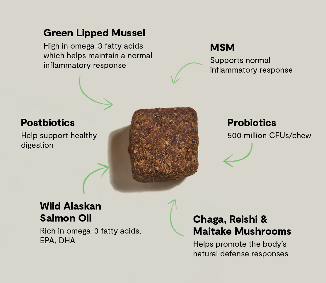 Multi+ Supplement Chews for Dogs - Image 5