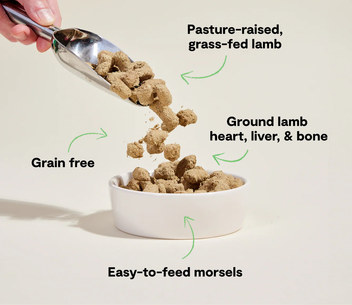 Pasture-Raised Lamb Freeze Dried Raw Morsels for Dogs - Image 4