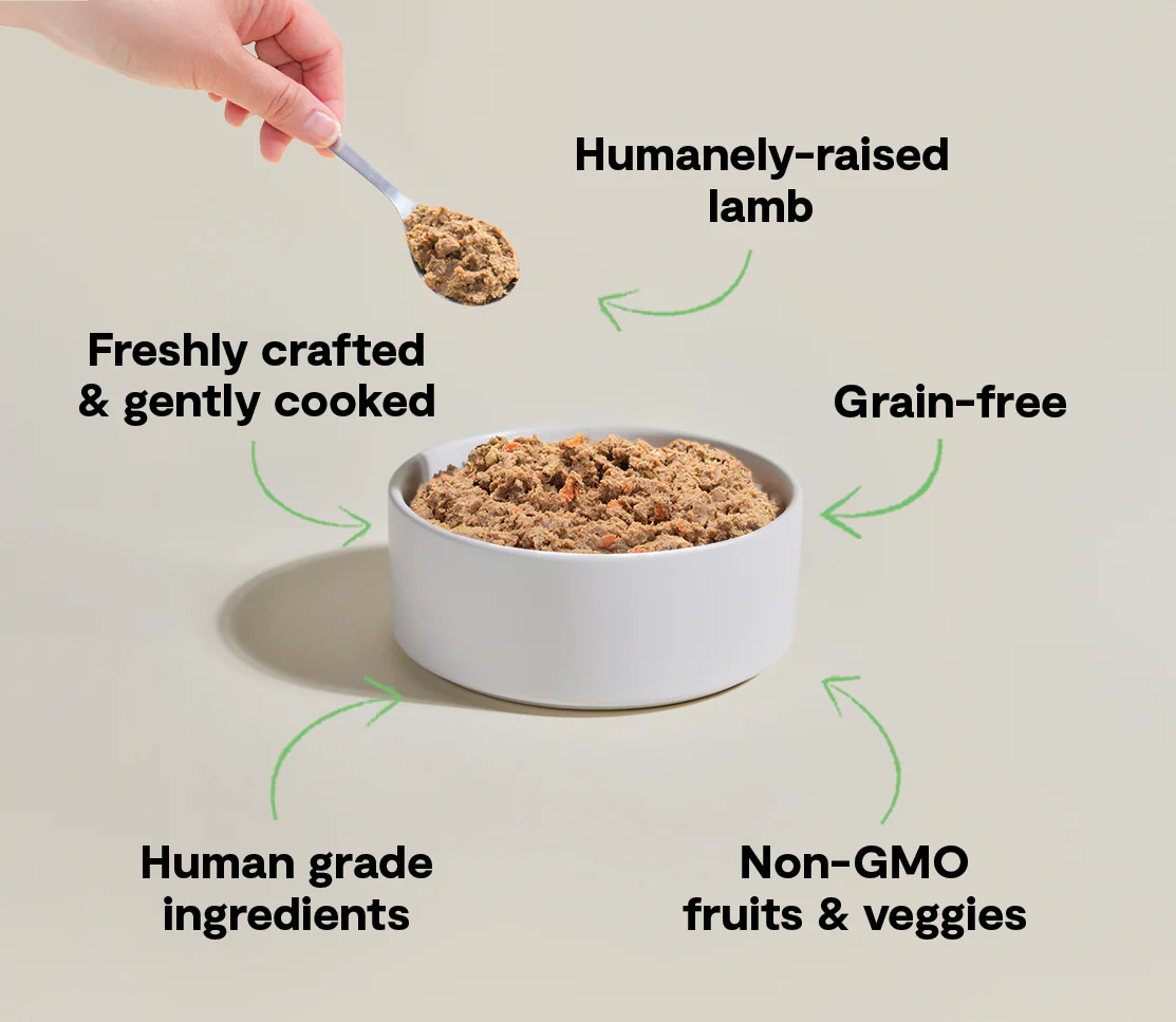 Pasture-Raised Lamb Freshly Crafted Dog Food - Image 4