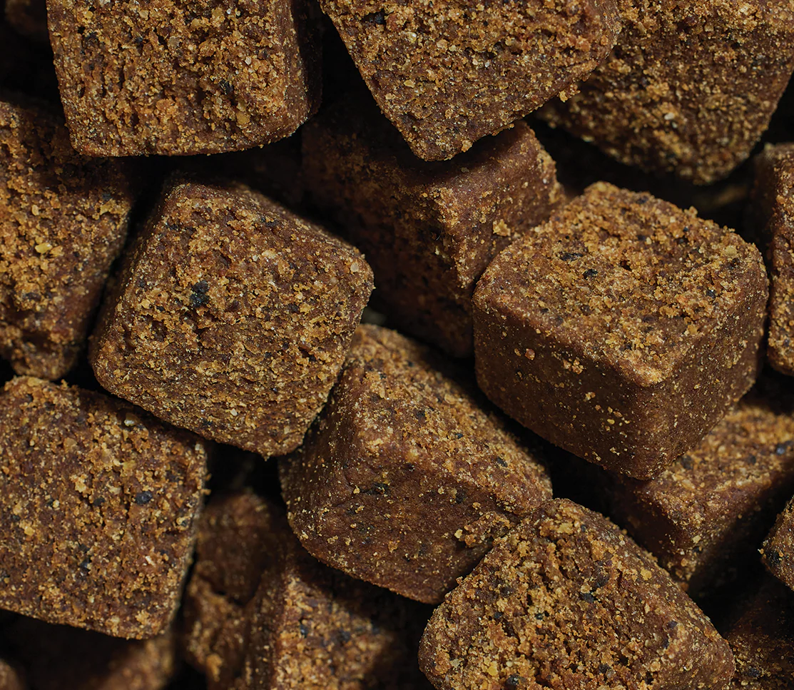 Probiotic Supplement Chews for Dogs - Image 3
