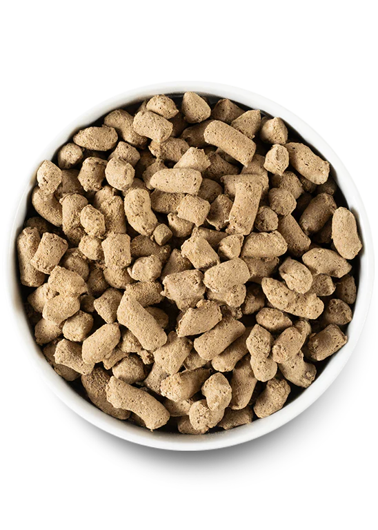 Puppy Essentials Pack - Image 5