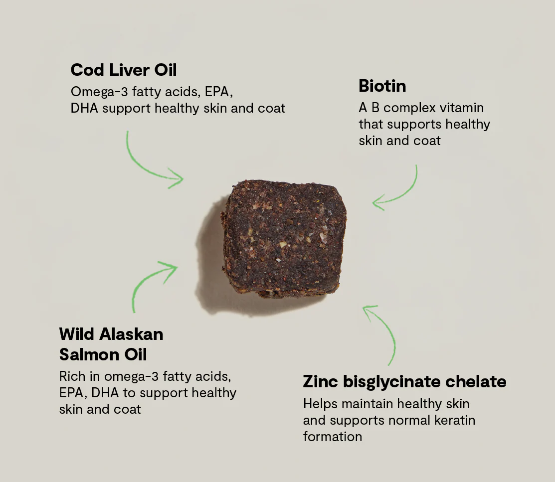 Skin & Coat Food Supplement Chews for Dogs - Image 5