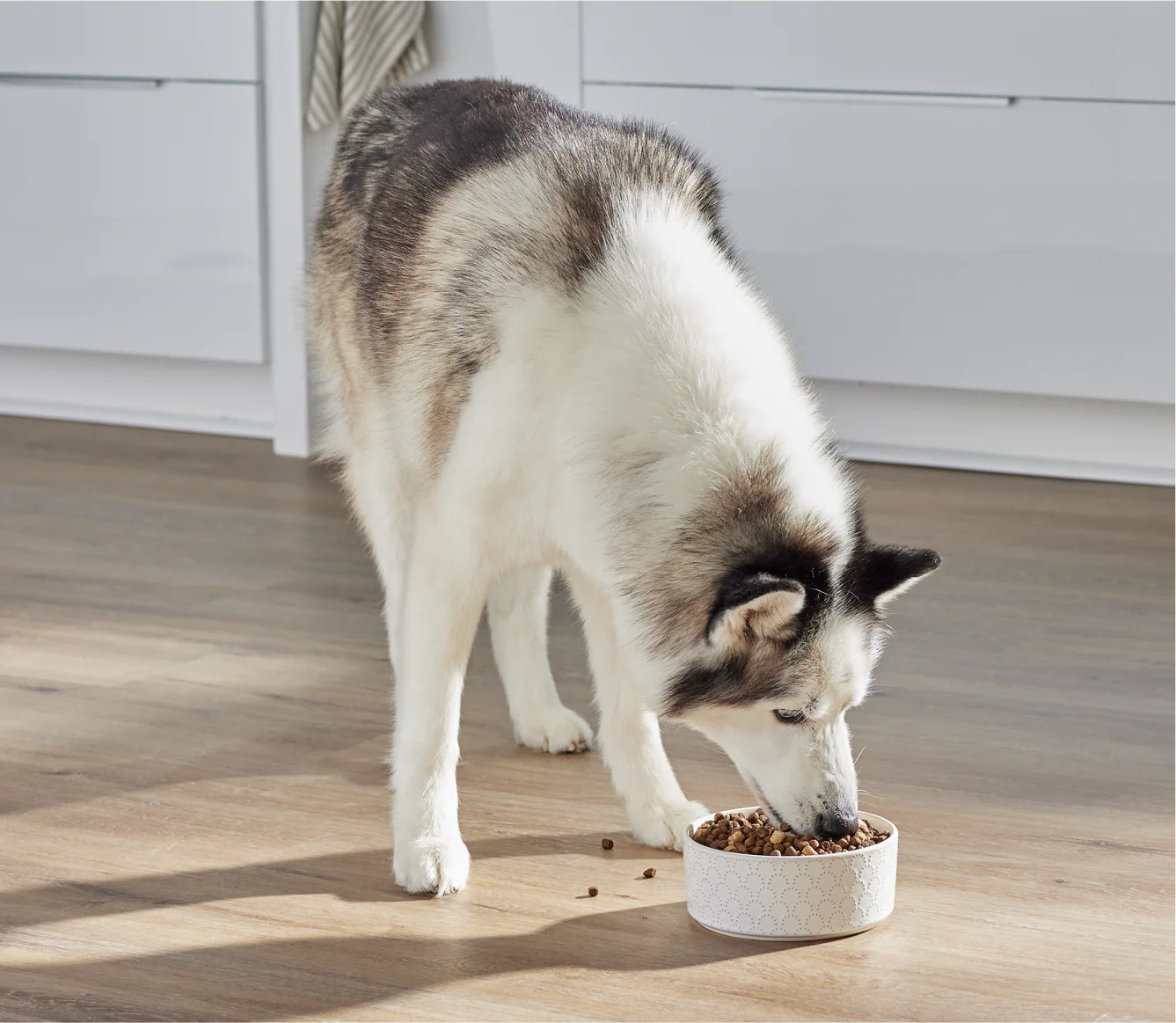 RawMix Open Prairie Ancient Grains Dog Kibble - Image 5