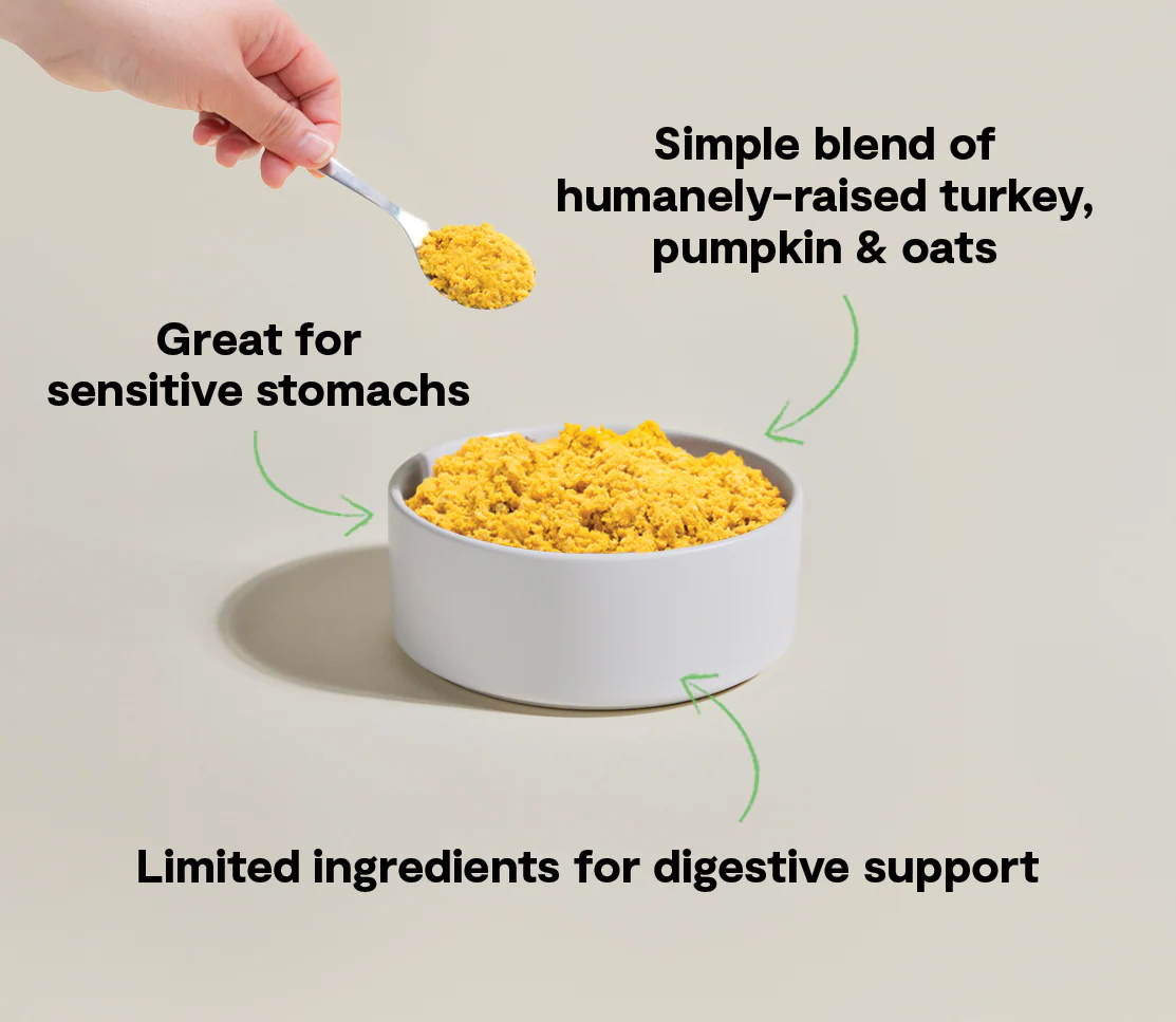 Tummy Rescue Freshly Crafted Dog Food - Image 4