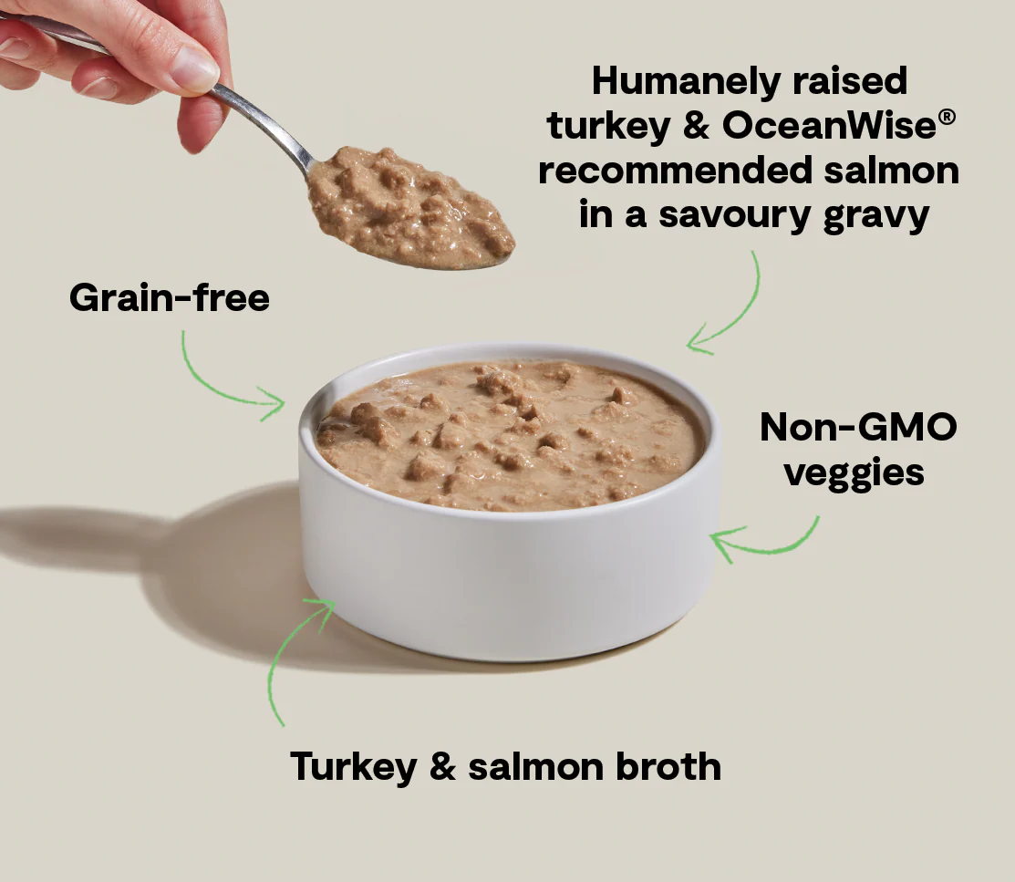 Turkey & Salmon Morsels in Gravy for Cats - Image 4