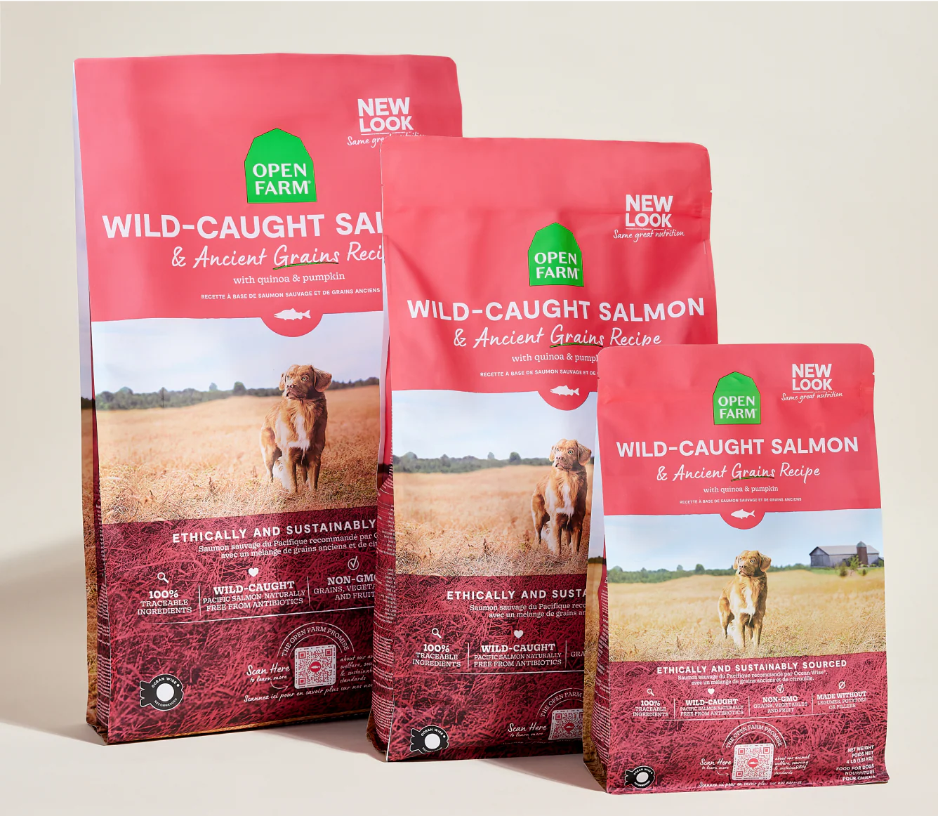 Wild-Caught Salmon & Ancient Grains Dog Kibble - Image 7
