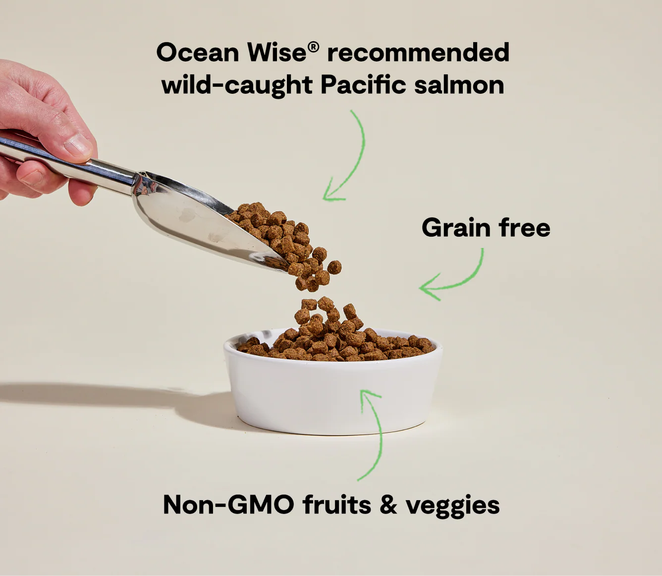 Wild-Caught Salmon Grain-Free Dog Kibble - Image 4